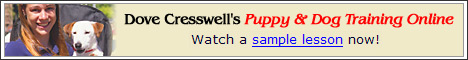 Online Puppy Training