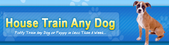 Online Puppy Training