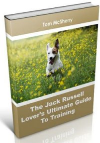 Online Puppy Training